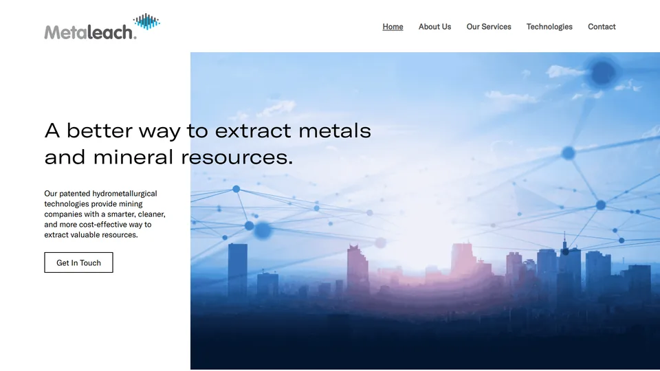 Metaleach website design